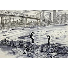 Family of Geese at the East River Park in Brooklyn, N.Y.C.